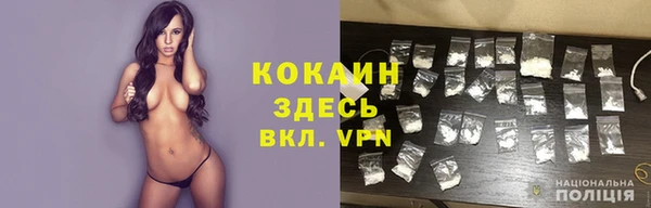 крисы Медвежьегорск