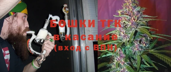 крисы Медвежьегорск