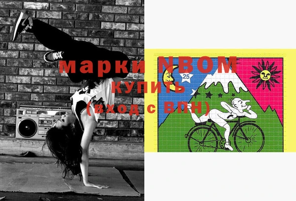 крисы Медвежьегорск