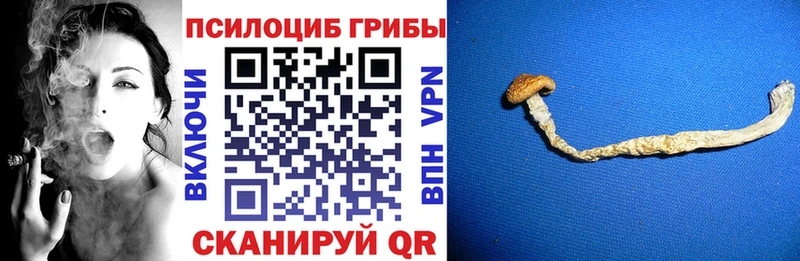 что такое   hydra онион  Псилоцибиновые грибы ЛСД  Шагонар 